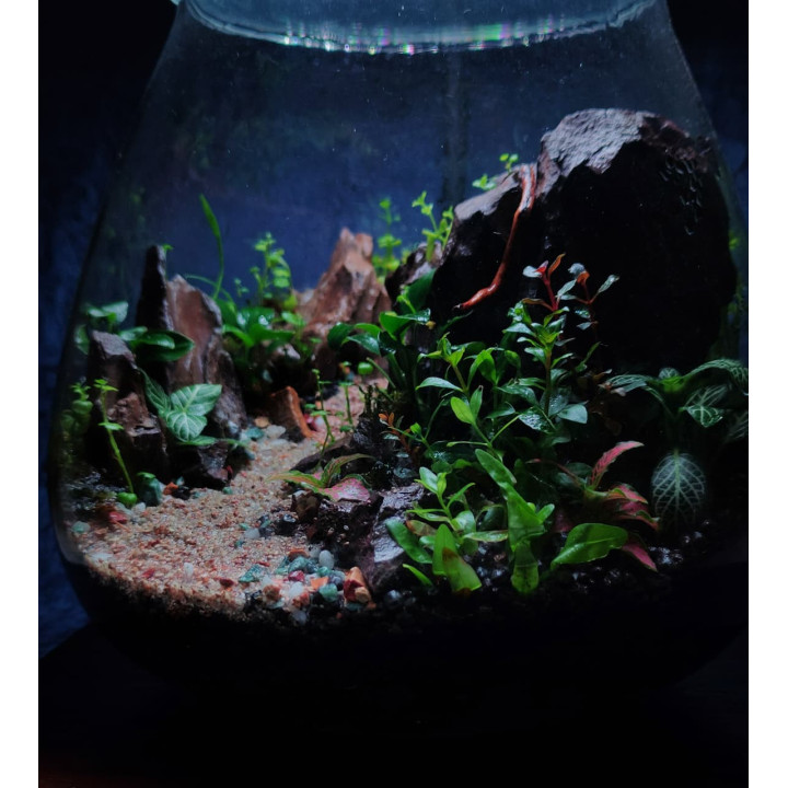 Terrarium -  Mountain Road