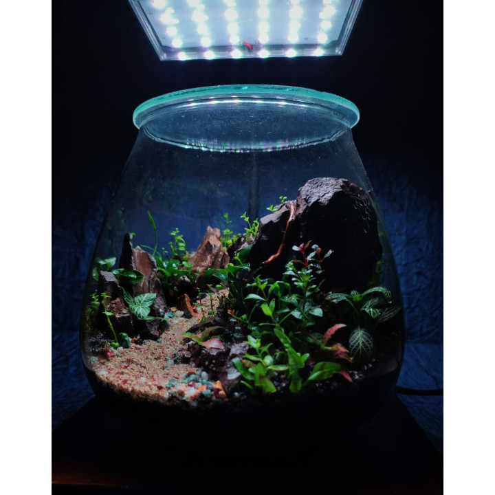 Terrarium -  Mountain Road
