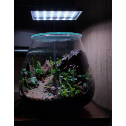 Terrarium -  Mountain Road