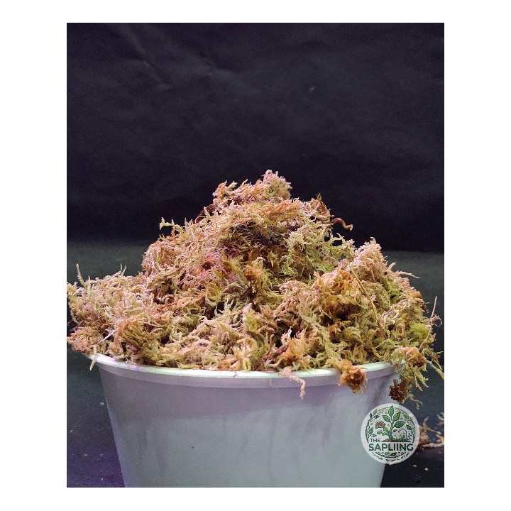 Sphagnum Moss 1KG