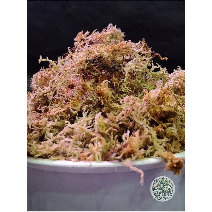 Sphagnum Moss 1KG