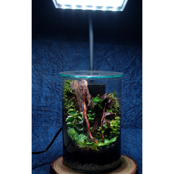 Terrarium – Blend of Nature