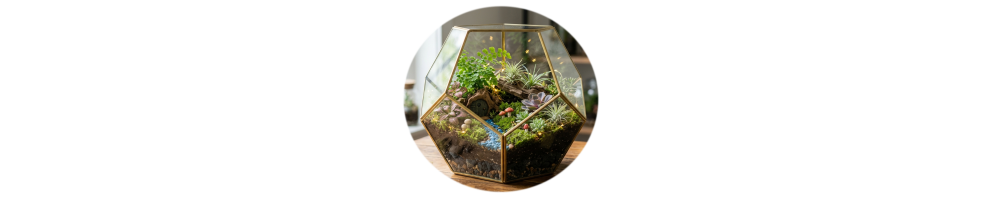 Terrarium