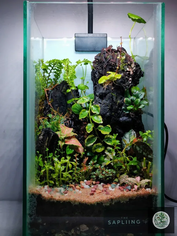 Terrarium - A Mountain Landscape