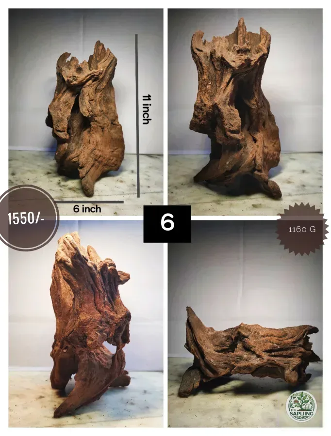 Mopani Wood
